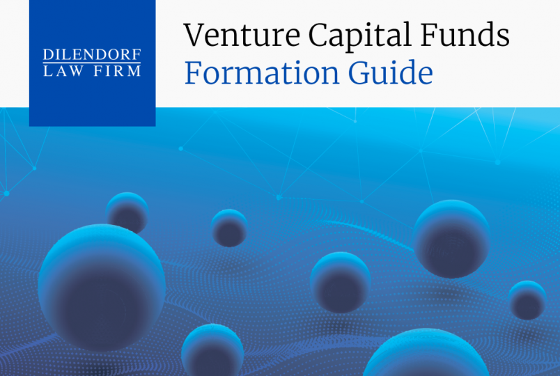 Venture Capital Funds Formation Guide | Dilendorf Law Firm